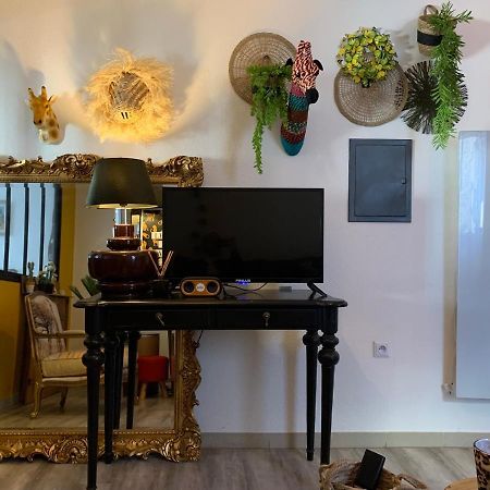 Appartement Cosy Le Safari Avec Wifi Annonay Dış mekan fotoğraf