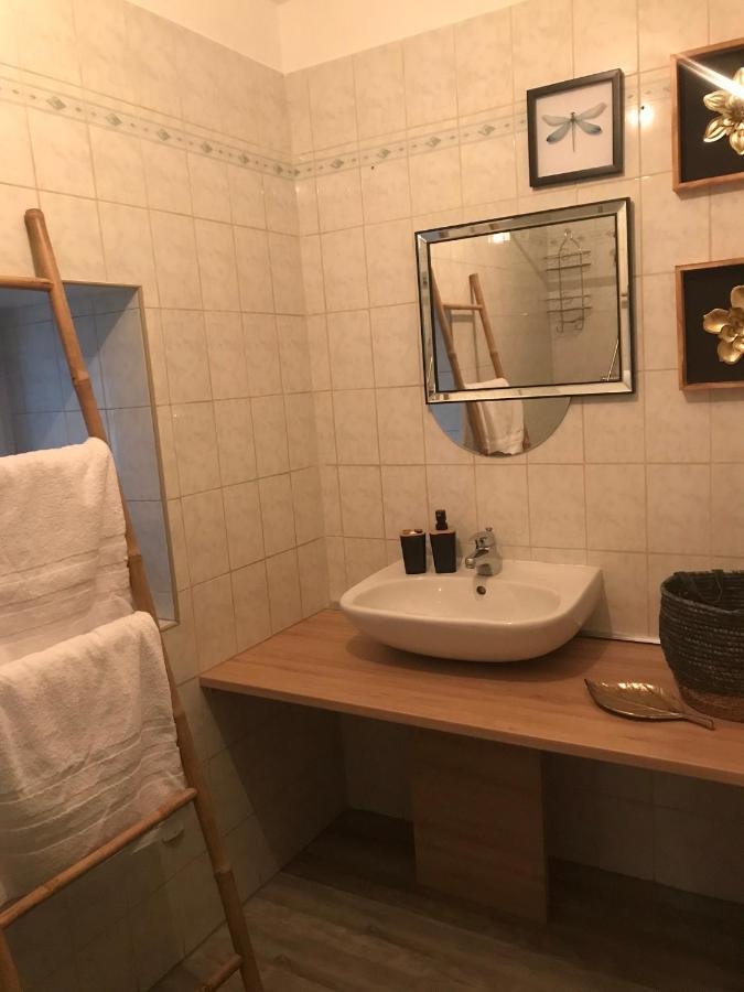 Appartement Cosy Le Safari Avec Wifi Annonay Dış mekan fotoğraf