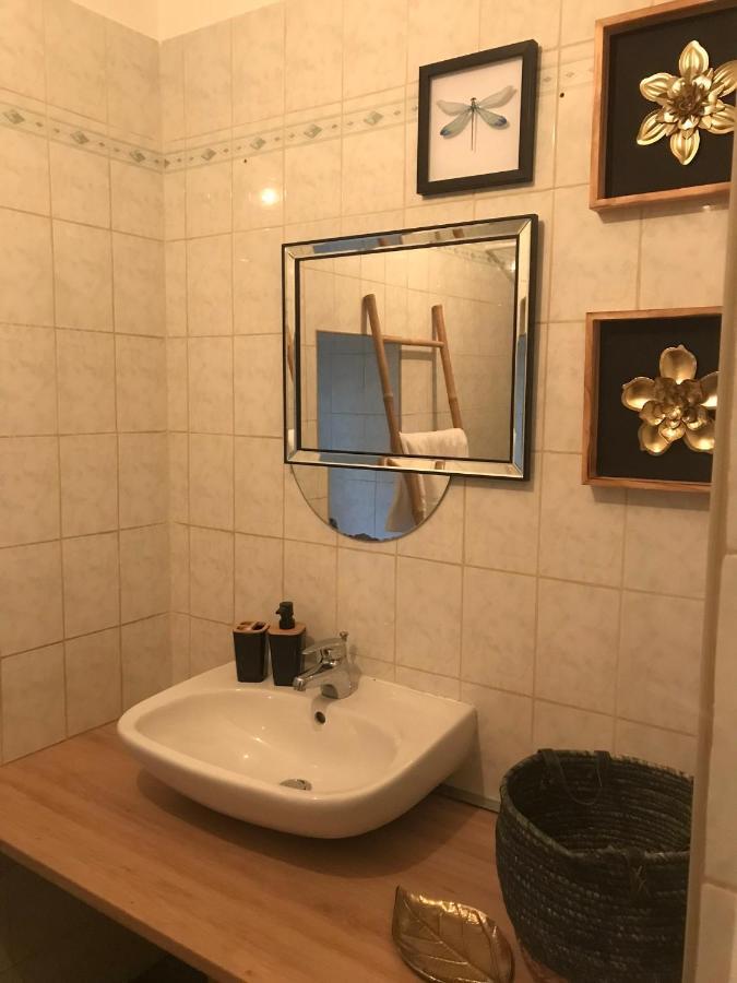Appartement Cosy Le Safari Avec Wifi Annonay Dış mekan fotoğraf