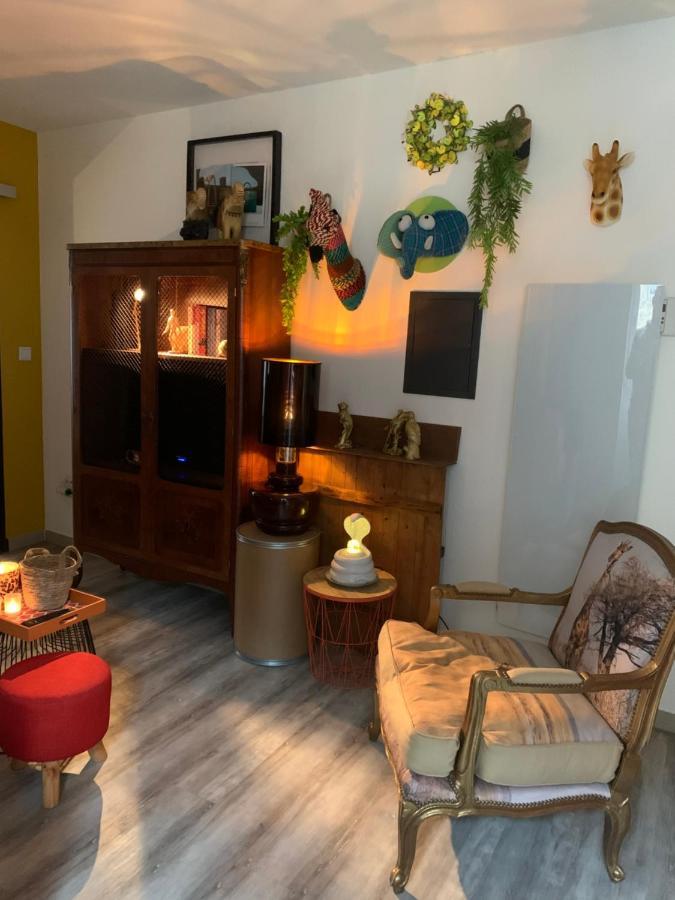 Appartement Cosy Le Safari Avec Wifi Annonay Dış mekan fotoğraf