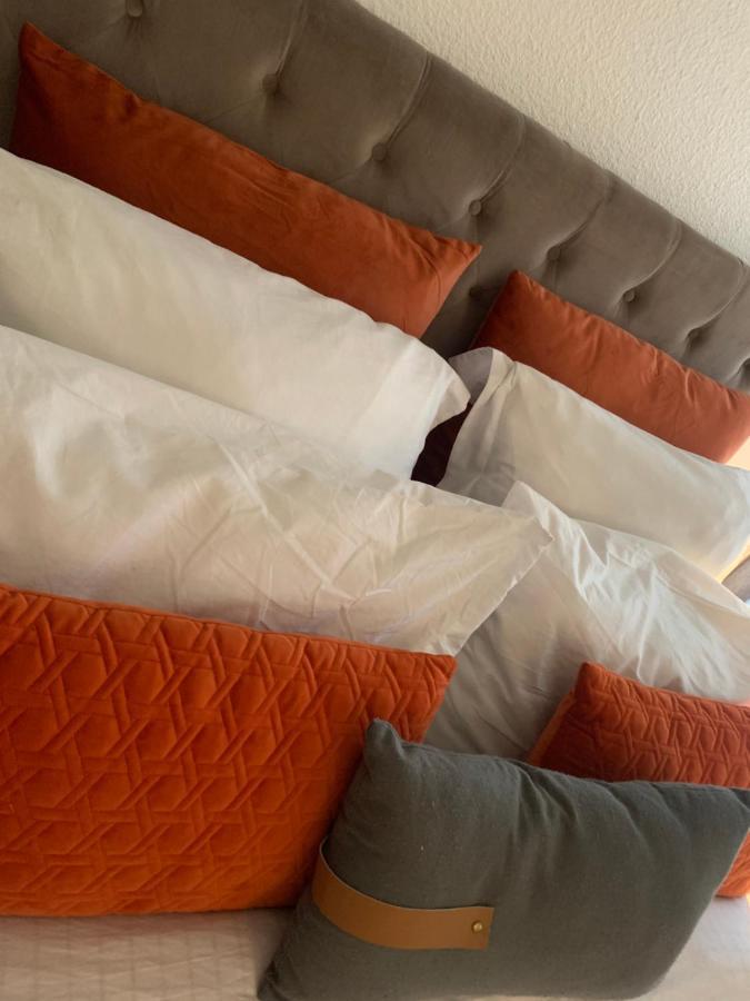 Appartement Cosy Le Safari Avec Wifi Annonay Dış mekan fotoğraf